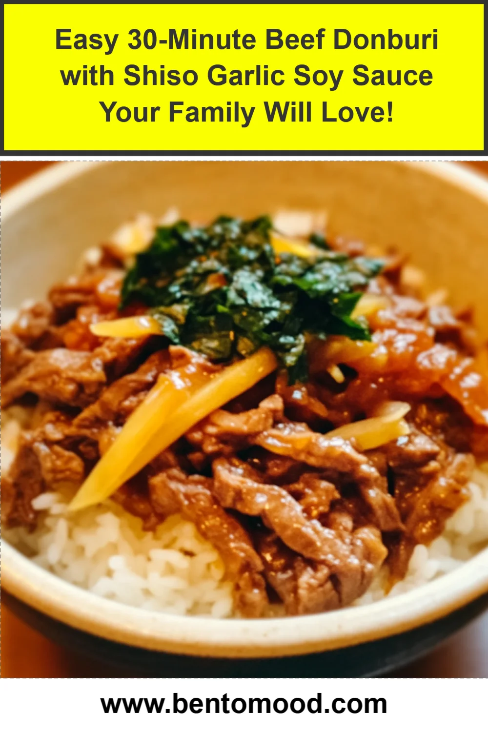 Easy 30-Minute Beef Donburi with Shiso Garlic Soy Sauce Your Family Will Love!